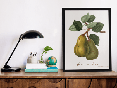 Grow a Pear Canvas in office