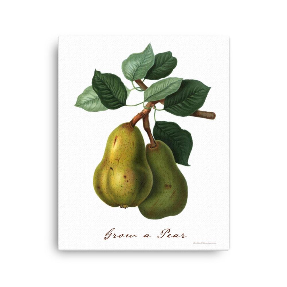 Grow a Pear Canvas