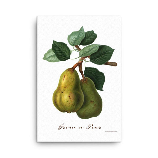 Grow a Pear Canvas