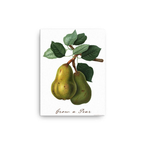 Grow a Pear Canvas